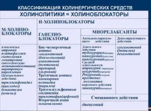 Антихолинергичните лекарства, показания за използване, вида на действие (М Н антихолинергични препарати централни списък указания за използване на дълго-действащи механизъм странични ефекти индикация класификация селективни фармакологични) Антихолинергичните лекарства, указания за употреба, от типа на действие