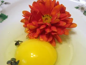химикали за коса - някои къдрици, за да изберете и как да ги правят (къдрици) химикали за коса - някои къдрици, за да изберете и как да ги правят