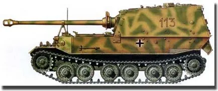 Какво е слон