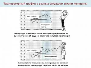 Как да се увеличи базалната температура