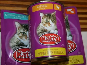 Котките обичат да се хранят котките