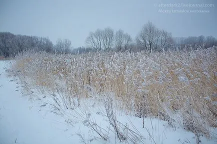 CPE, че е CPE, че е