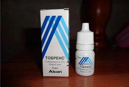 Болести на очите Котки Болести на очите Котки