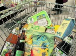 Какво е най-екологичните продукти