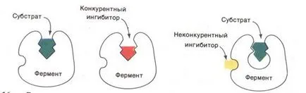 Какво е ензимна реакция