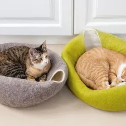 Как да се построи дом за котката Как да се построи дом за котката