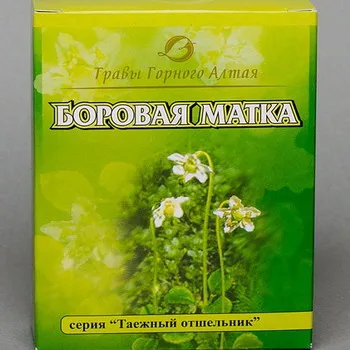 Borovaya матката като чай