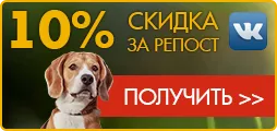 Цената на обучение на кучета Цената на обучение на кучета
