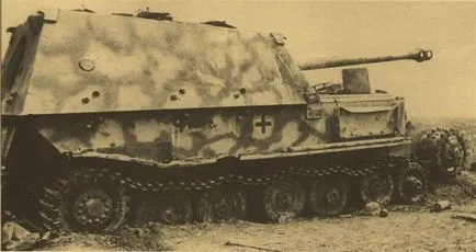 Какво е слон
