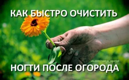 Чистите ноктите