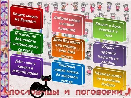 Списания с котки