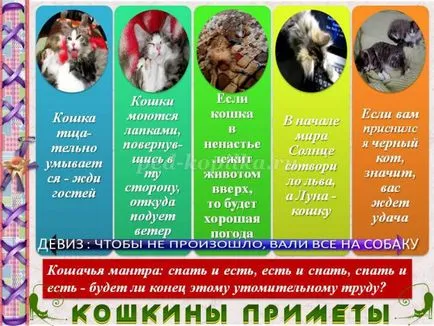 Списания с котки