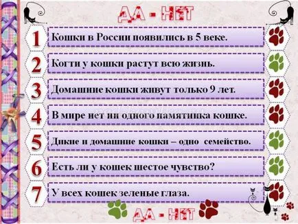 Списания с котки