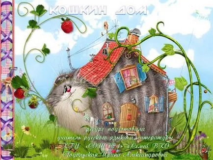 Списания с котки