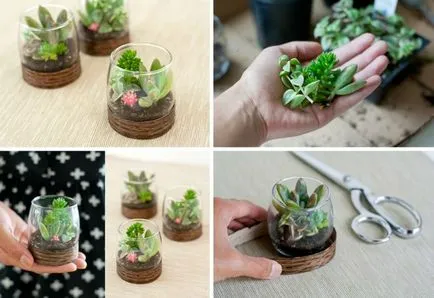 17 Fantastic florariumov, която ще бъде уникална декорация за всеки дом
