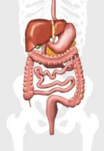Gastroduodenit как да се лекува