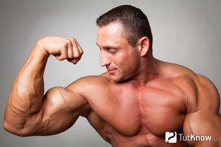 Muscle как да го построи Muscle как да го построи