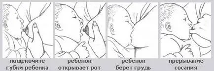 Как да се сложи на новороденото
