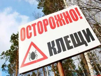 Как да се извлече от кърлежи