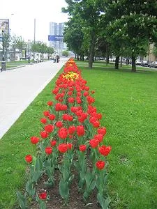 260500 () - озеленяване и ландшафта конструкция