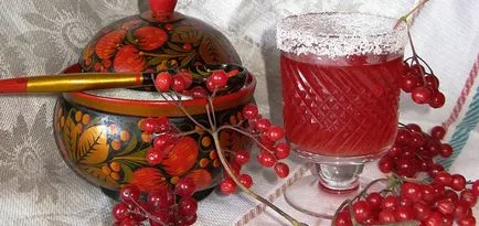 Как да приемате калина Как да приемате калина