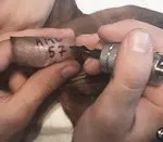 Като марка кученца
