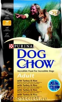 Great Dane киноложка изложба