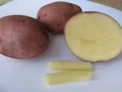 Отзиви за лечение на хемороиди
