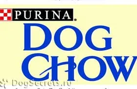 Great Dane киноложка изложба