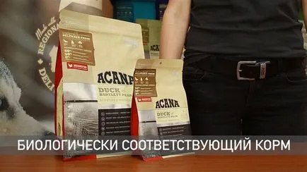 Хипоалергенен кучешка храна Хипоалергенен кучешка храна
