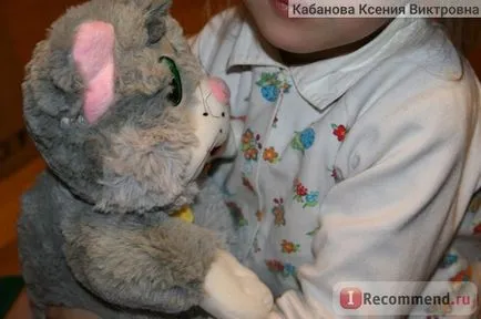 Котка, която разказва историята