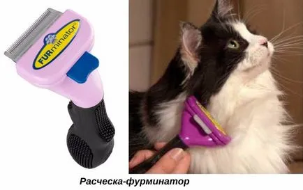 Като котка навеси