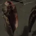 Марината за пушено пиле