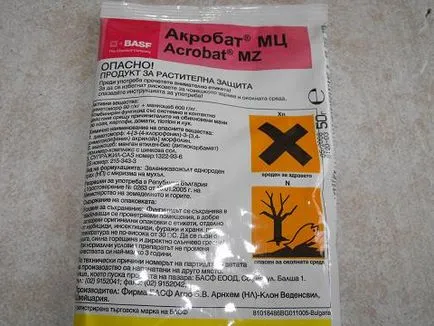 Какво е мана