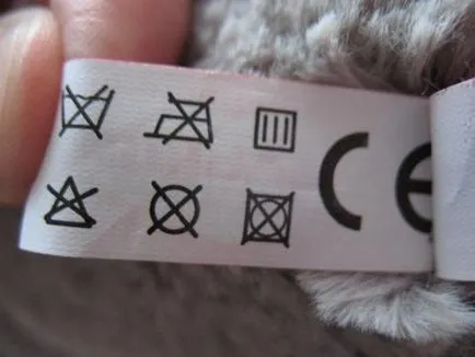Котка, която разказва историята
