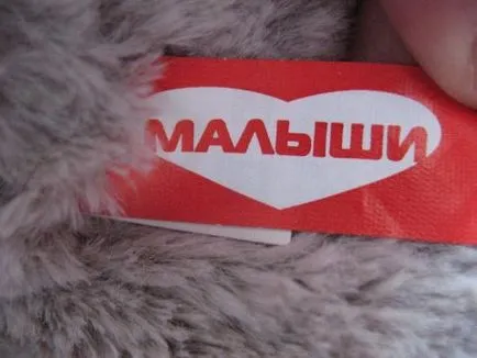 Котка, която разказва историята