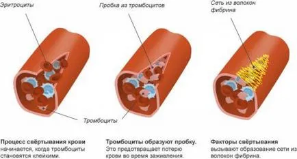 Каква е цената на тромбоцитите