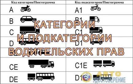 Това, което прави категория в Това, което прави категория в