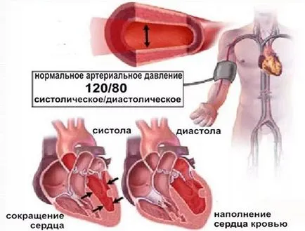 Ниско кръвно налягане е това, което е