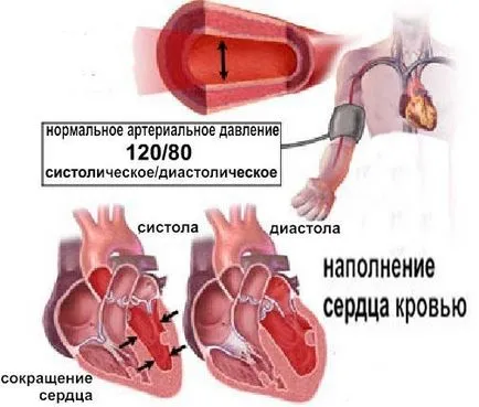 Ниско кръвно налягане е това, което е