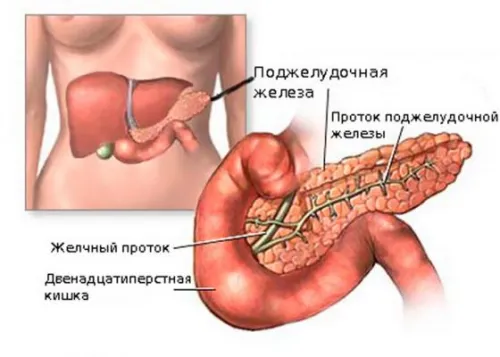 Какво е панкреатит панкреаса
