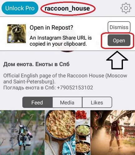 Защо fonit колона Защо fonit колона