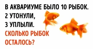 6 Бели дробове рецепти за готвене с деца