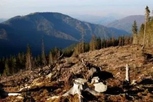 6 ужасяващи факти, тъй като ние ежедневно консумират нашата планета