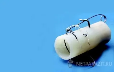 7 Ефективни капани за плъхове с ръцете си