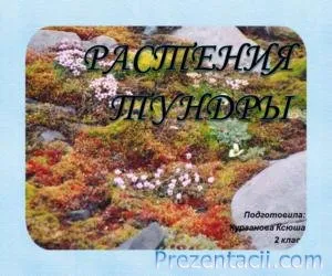 Представяне на какво гората
