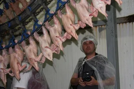 зар пиле