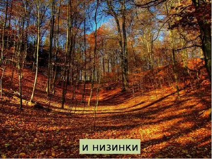 Представяне на какво гората