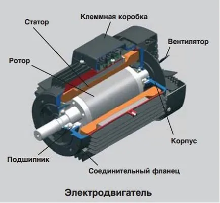 Какво е статора и ротора