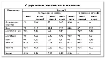 Разнообразието от домат за оранжерията Разнообразието от домат за оранжерията